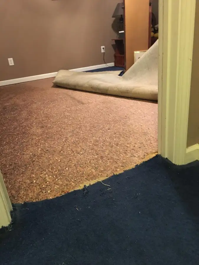 Carpet pad removal revealing water damage during Drying & Dehumidification in Burnsville