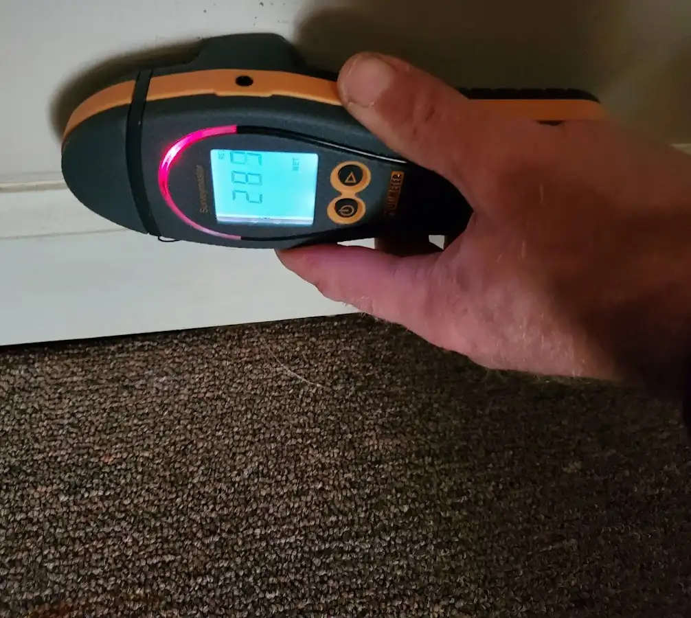 Moisture detection at baseboard during Burst Pipe Cleanup in Burnsville